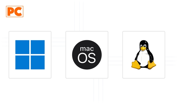 Computer operating systems: Windows, MacOS and Linux