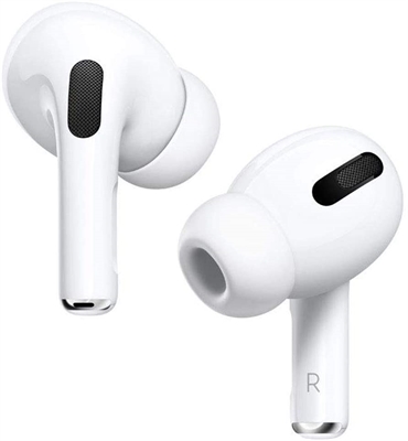 Apple AirPods Pro Earphone View