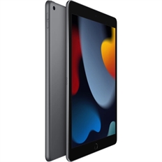 Apple iPad Gen 9 - Tablet, 10.2" IPS, 4GB RAM, 256GB Storage, 32.4Wh, Gris Espacial