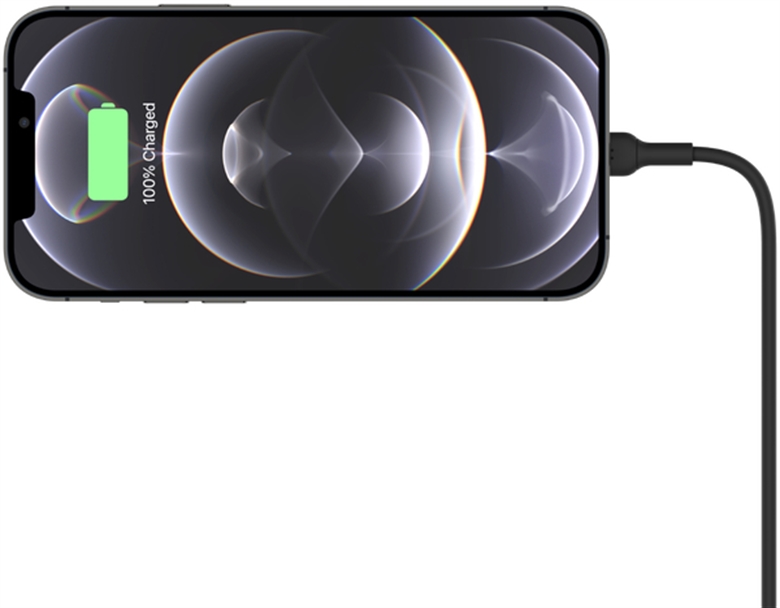 Belkin WIC004btBK-NC - Horizontal Connect to iPhone View