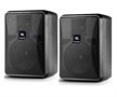 CONTROL25-1L 8-Ohm Compact Indoor Outdoor Commercial Installation Speaker-General View