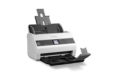 Epson DS-730N  - Escáner de Documentos con Alimentador Automático de 100 hojas, Duplex, USB 2.0, 600 x 600ppp, Dual CIS