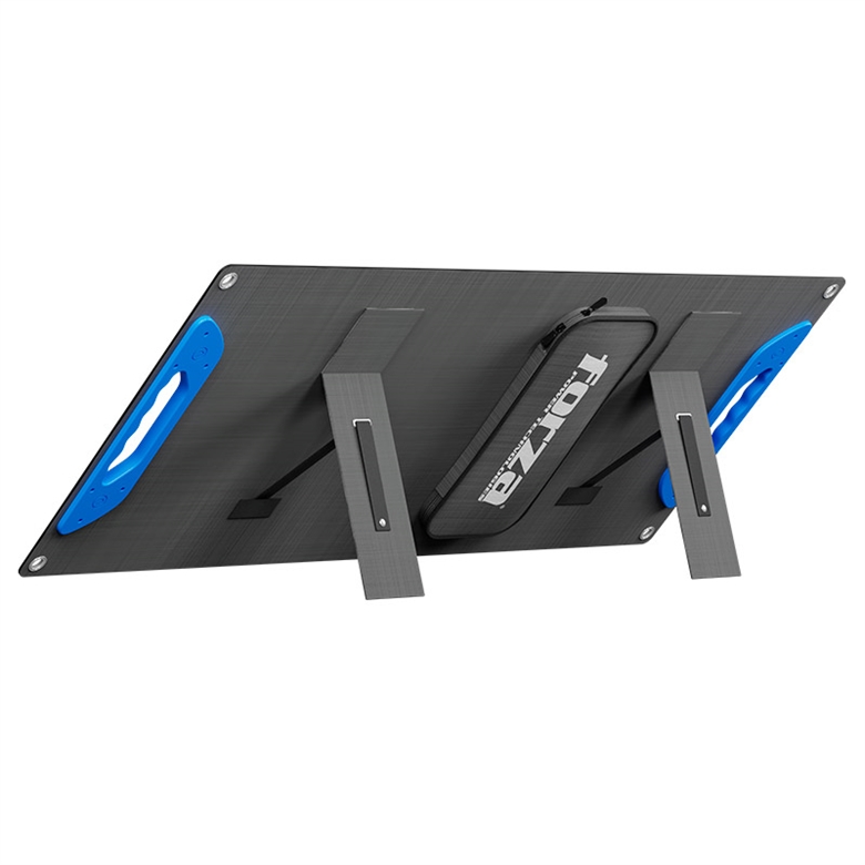 forza t 60w back