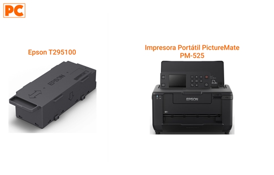 Epson T295100 and 2 Pack
