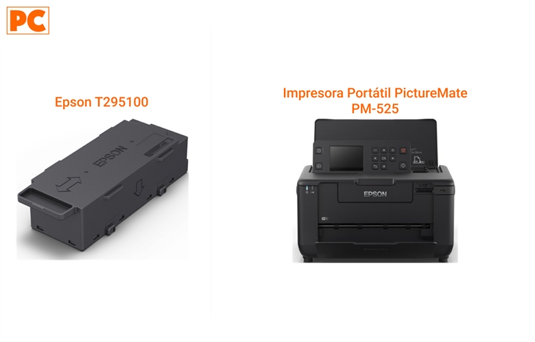 Epson T295100 and 2 Pack