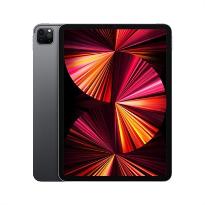 iPad Pro M1 Gen 5 Gris Vista Frontal
