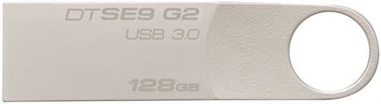 Kingston DataTraveler SE9 G2 128 GB Silver Front View