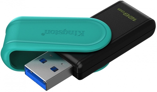 KINGSTON DTXS128GB VISTA DE PUERTO