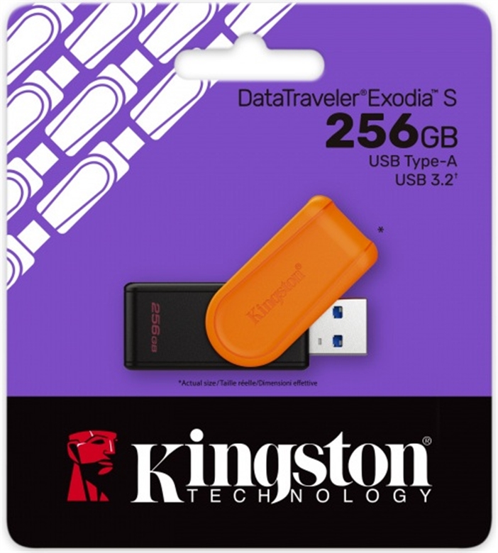 KINGSTON DTXS256GB VISTA DE PAQUETE