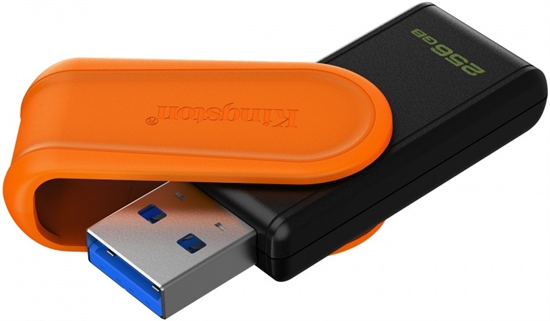 KINGSTON DTXS256GB VISTA DE PUERTO