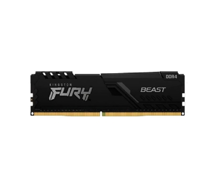 KINGSTON FURY BEAST 1