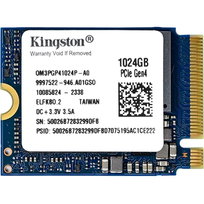 Kingston OM3PGP41024P-A0 en Panamá | Pana Compu