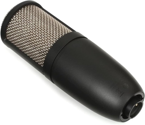 Large-Diaphragm Condenser Microphone-lateral View