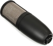 Large-Diaphragm Condenser Microphone-lateral View