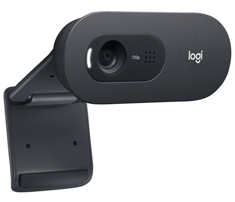 Logitech C505e Webcam 720p 30fps Isometric View 1