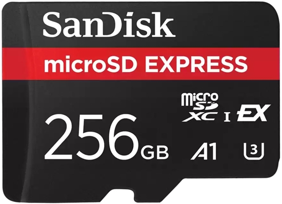 MicroSD Express 256GB Frontal