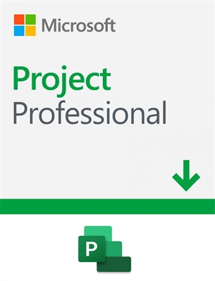 Microsoft Project Professional 2019 Digital Download