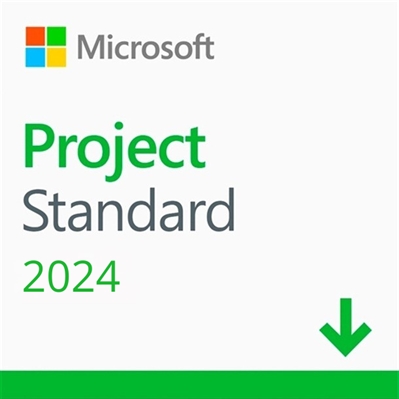 Microsoft Project Standard 2024 2