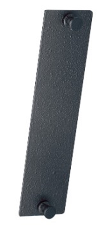 OR-OFP-BLANK Lateral View