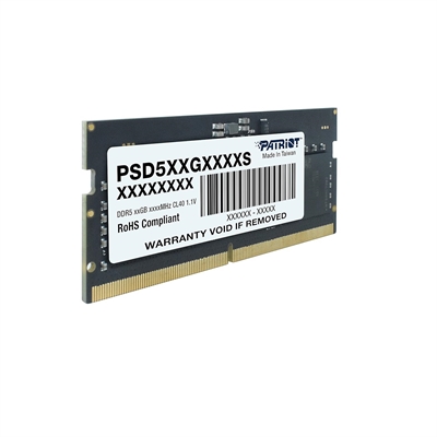 Patriot Signature Line DDR5 - RAM PSD516G480081S side view