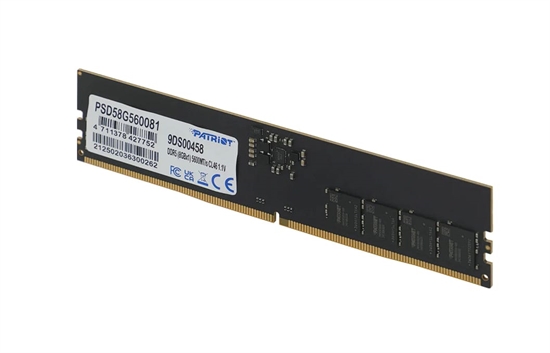 Patriot Signature Line DDR5 - RAM UDIMM Side View