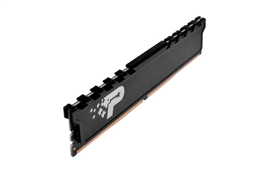 Patriot Signature Premium - RAM PSP48G32002H1 side view