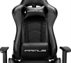 Primus Gaming THRONOS 100T Black Gaming Chair Lumbar Support