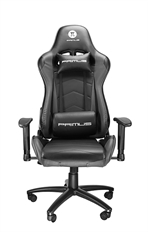 Primus Gaming THRONOS 100T - Black Gaming Chair, PVC and Synthetic Leather, Adjustable Headrest, Lumbar Support, Adjustable Seat Height, 2D Armrest