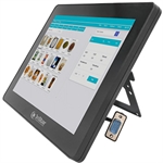 3nStar PTE0605-M10 - Pantalla de Cliente LCD de 9.7", VGA, 1024 × 768, Negro
