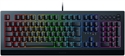 Razer Cynosa V2 View Front