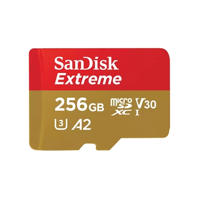 Sandisk Extreme 256GB Front View