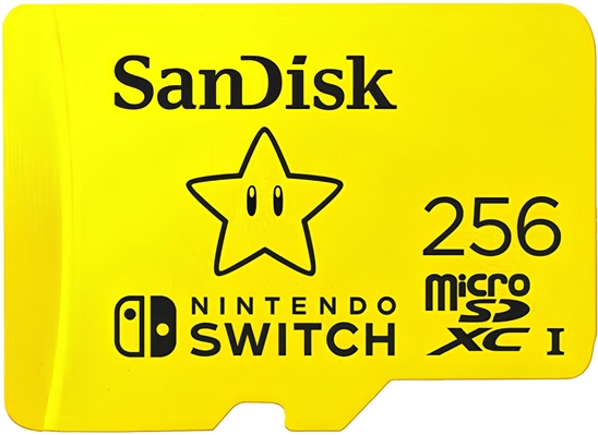 SanDisk Nintendo Switch 1