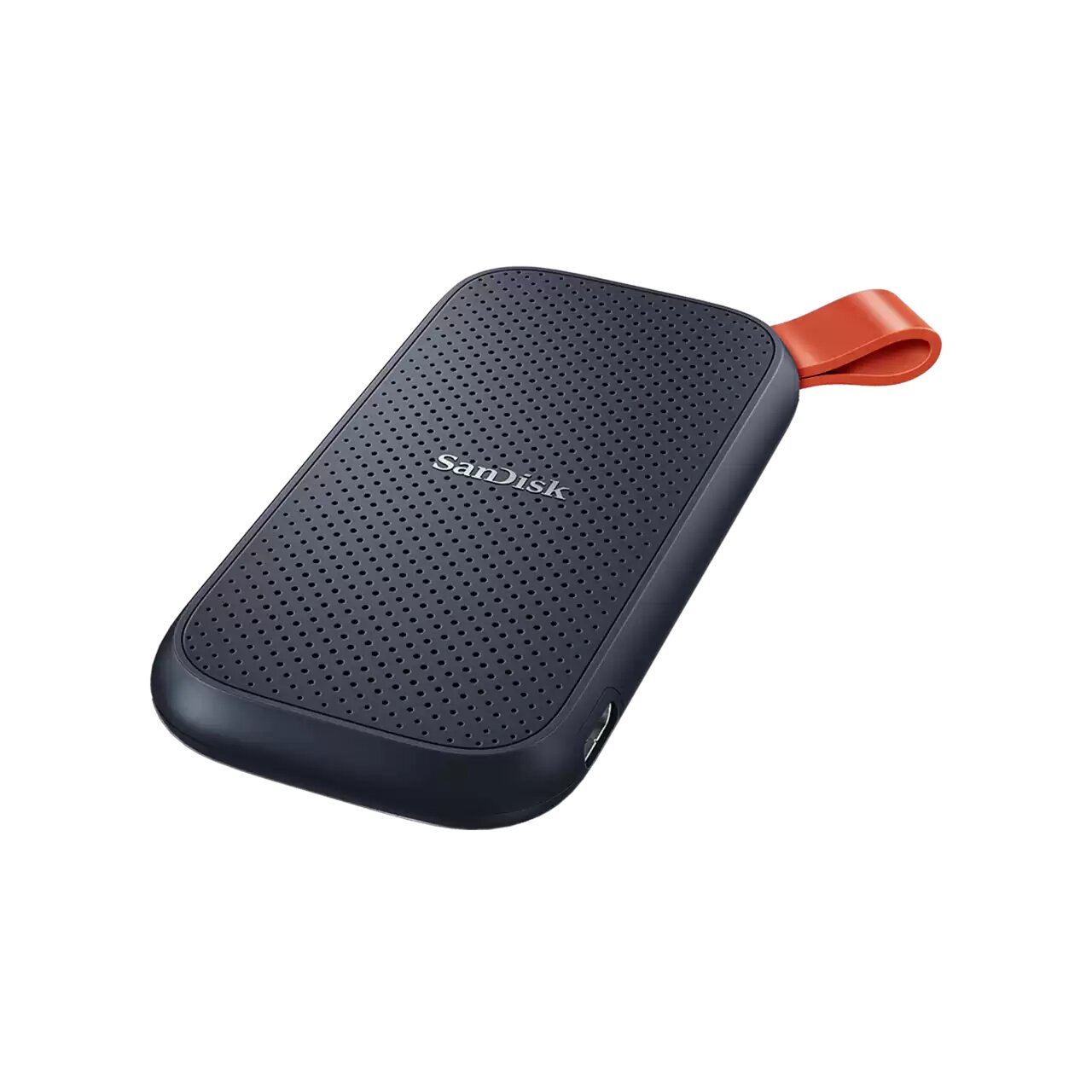 SanDisk Portable | Pana Compu