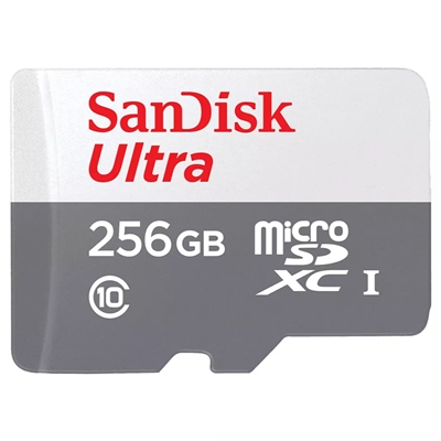 SanDisk Ultra Micro SD Class 10 frontal view