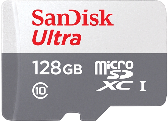SanDisk Ultra Micro SDHC Class 10 A1 - Front View