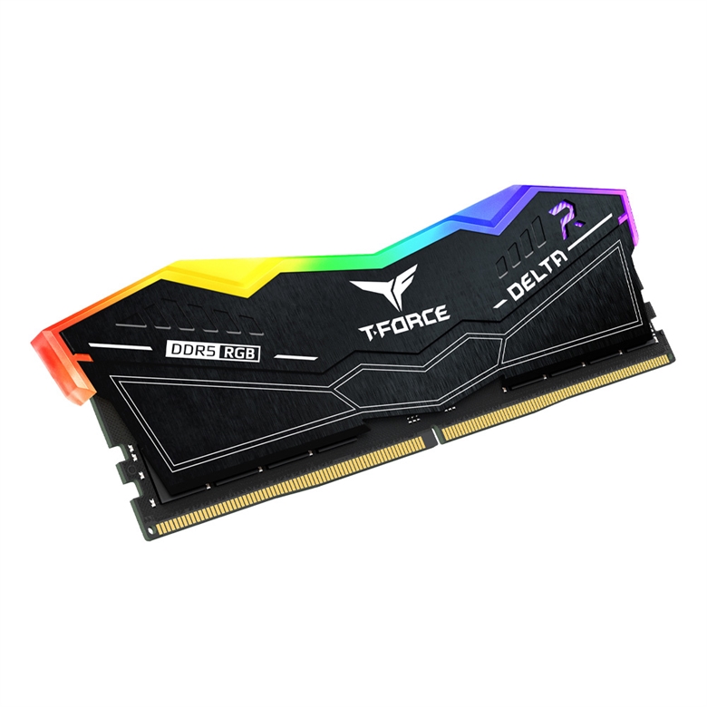 TEAMGROUP T-Force Delta RGB Black - RAM side view