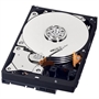 Western Digital Blue HDD 500GB 7200rpm 3.5inch Internal View