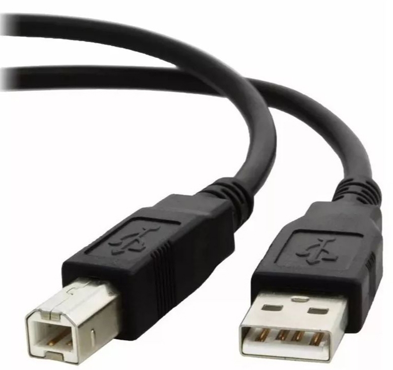 Xtech XTC-304 Cable Negro USB Tipo A Macho a USB Tipo B Vista de Conectores